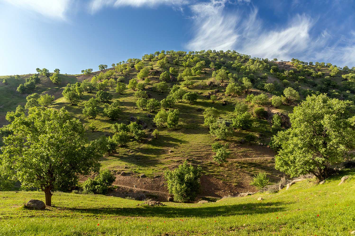 از دل طبیعت تا قاب دوربین